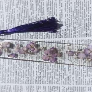 Zakładka Leśna cisza